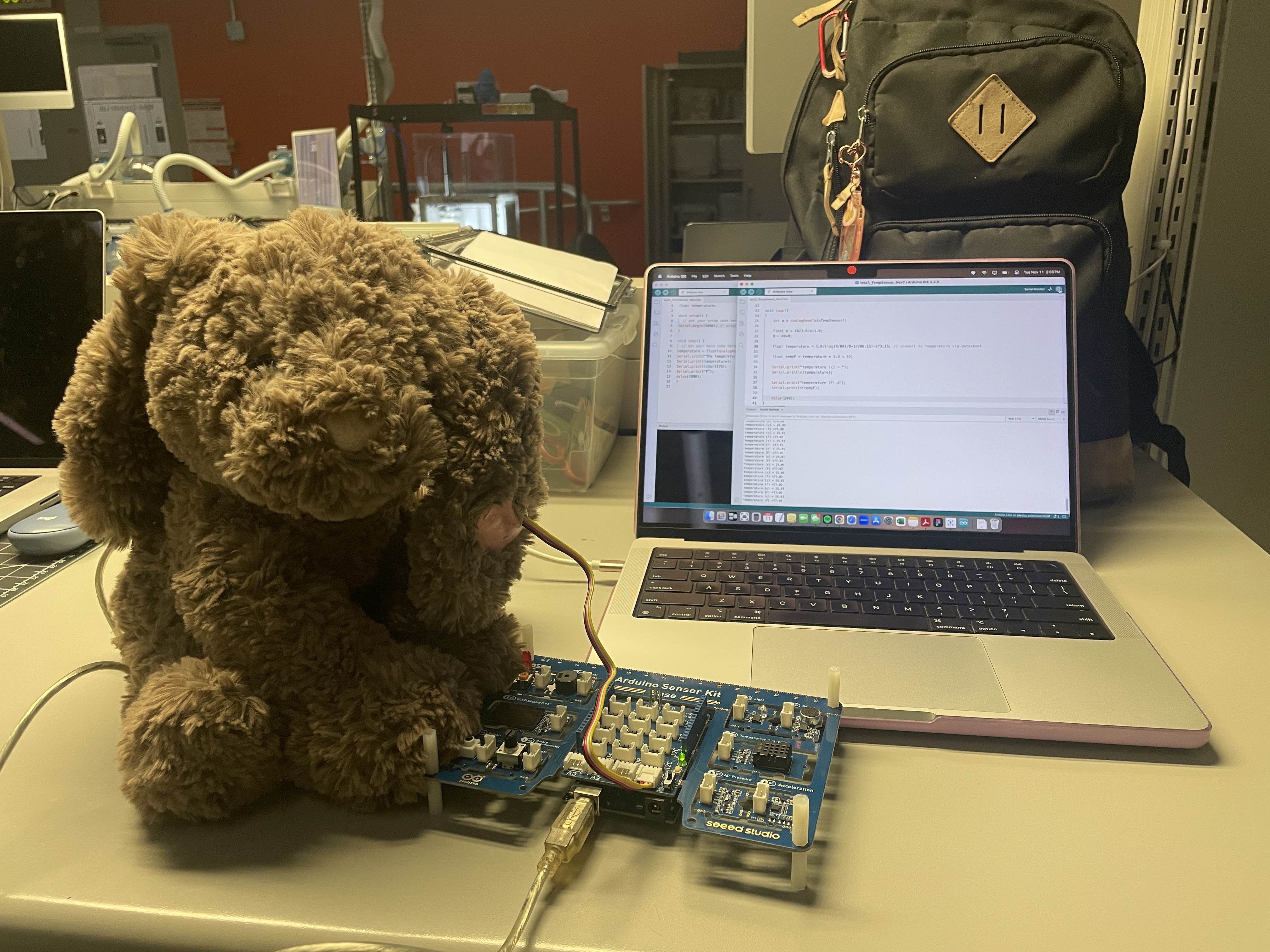 This is the current prototype. Miffy was the most popular animal so we've decided to mainly user her going forward. The temperature sensor is placed in her right ear and is working on the arduino app.